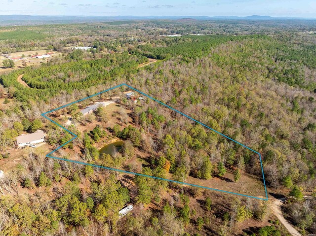 bird's eye view with a forest view