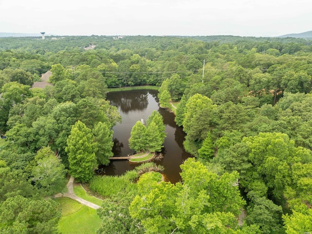 birds eye view of property with a water view and a view of trees