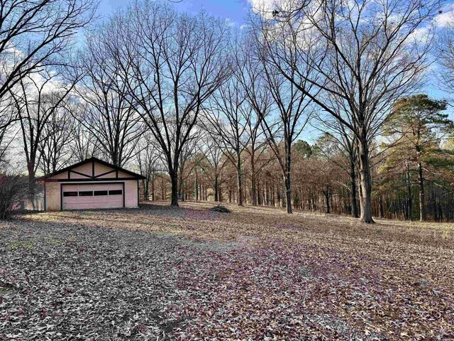 view of yard with a detached garage and an outdoor structure