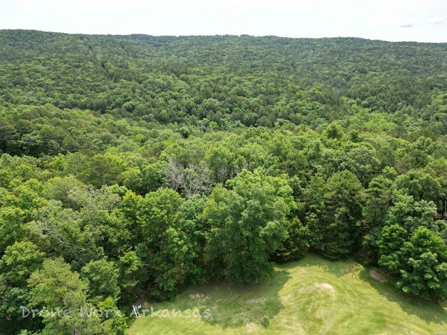 000 Lost Creek Pkwy, Fairfield Bay, AR 72088 - photo 36