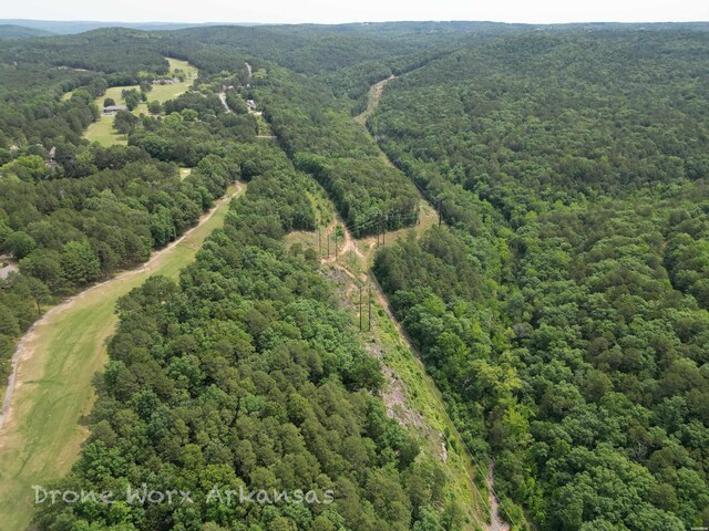 000 Lost Creek Pkwy, Fairfield Bay, AR 72088 - photo 15