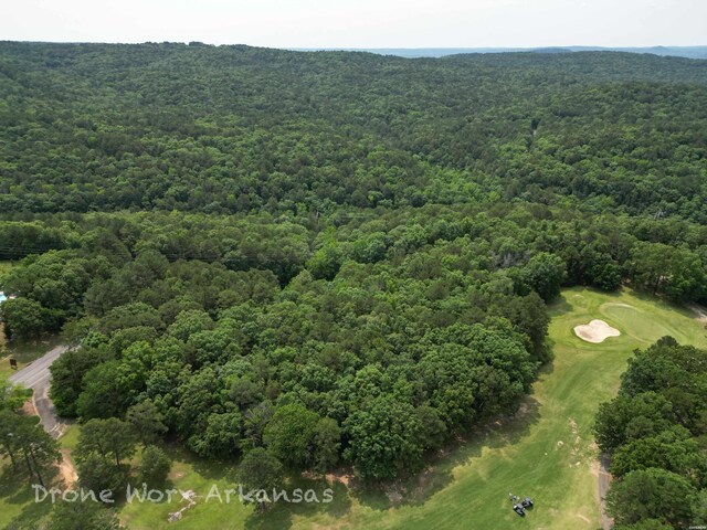 000 Lost Creek Pkwy, Fairfield Bay, AR 72088 - photo 24