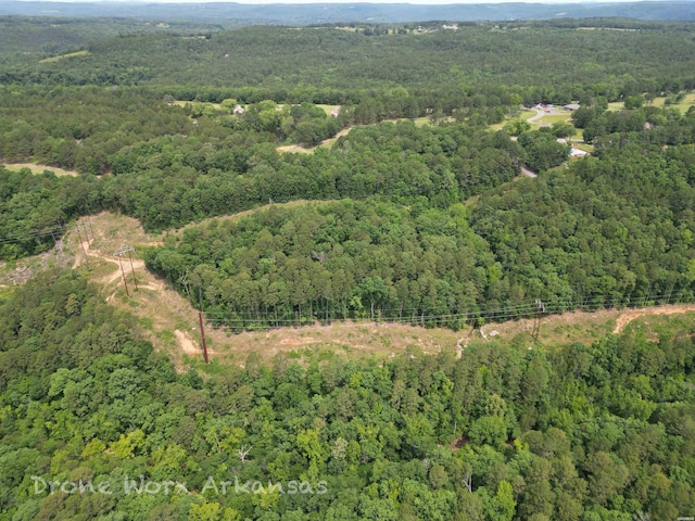 000 Lost Creek Pkwy, Fairfield Bay, AR 72088 - photo 13