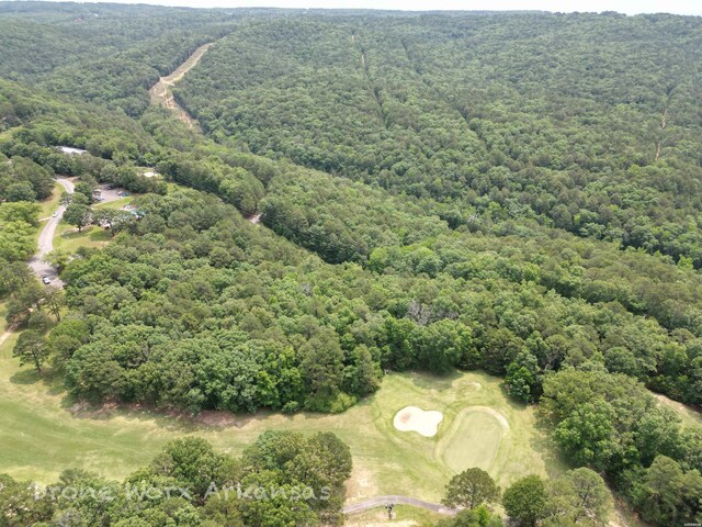 000 Lost Creek Pkwy, Fairfield Bay, AR 72088 - photo 39