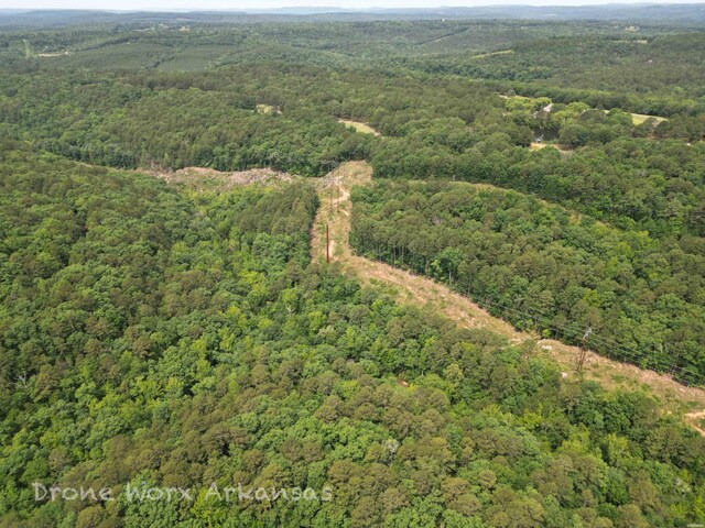 000 Lost Creek Pkwy, Fairfield Bay, AR 72088 - photo 10