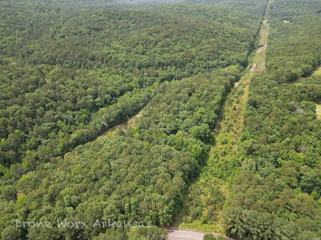 000 Lost Creek Pkwy, Fairfield Bay, AR 72088 - photo 4