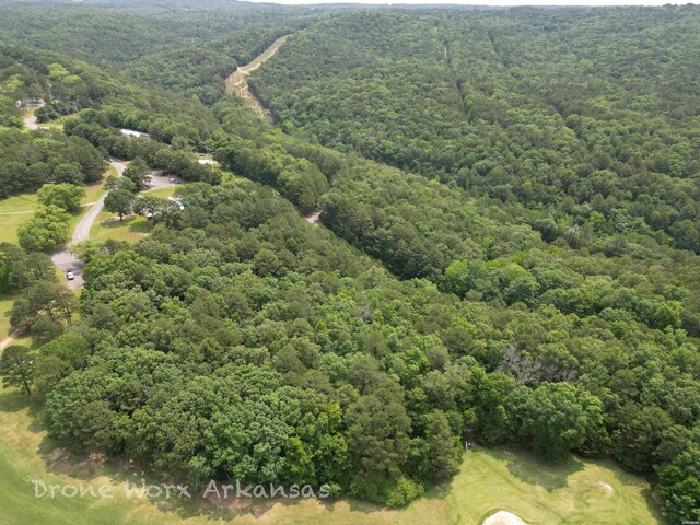 000 Lost Creek Pkwy, Fairfield Bay, AR 72088 - photo 38