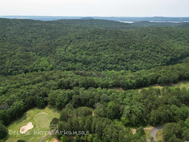 000 Lost Creek Pkwy, Fairfield Bay, AR 72088 - photo 23