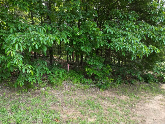 000 Lost Creek Pkwy, Fairfield Bay, AR 72088 - photo 31
