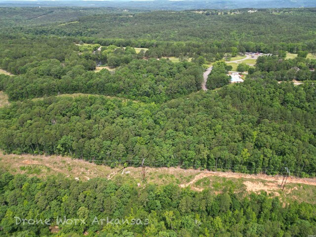 000 Lost Creek Pkwy, Fairfield Bay, AR 72088 - photo 9