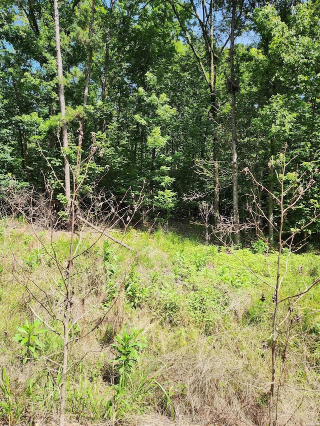 28A Edgemont, Hot Springs, AR 71913 - photo 2
