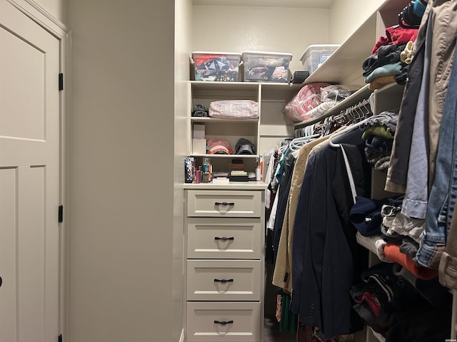 1910 Josh Dr, Conway, AR 72034 - view of spacious closet