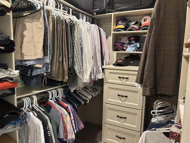 1910 Josh Dr, Conway, AR 72034 - view of spacious closet