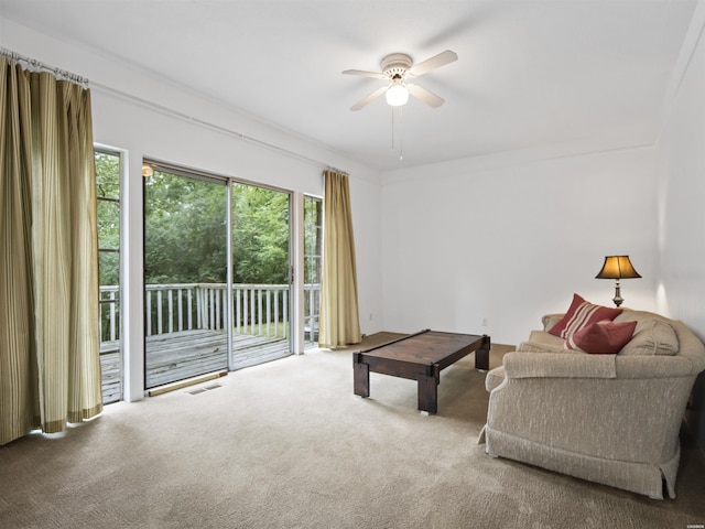 206 Northgate St, Hot Springs, AR 71913 - photo 4
