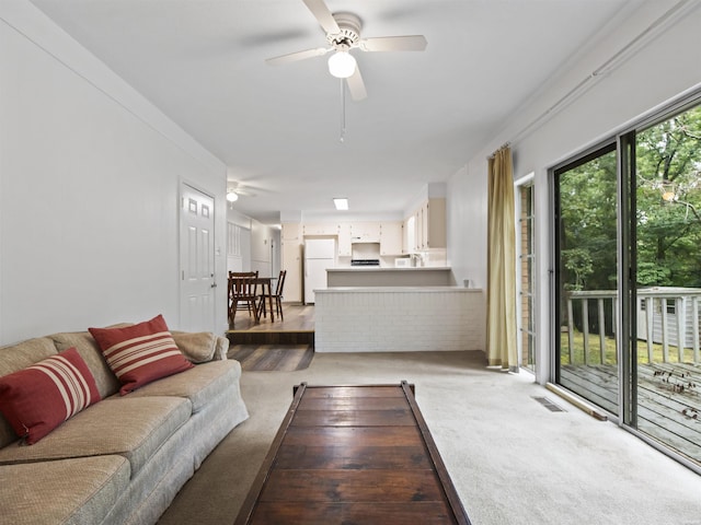 206 Northgate St, Hot Springs, AR 71913 - photo 5