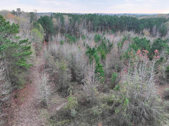 718 Southfork Rd, Gurdon, AR 71743