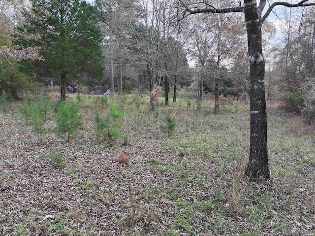 718 Southfork Rd, Gurdon, AR 71743