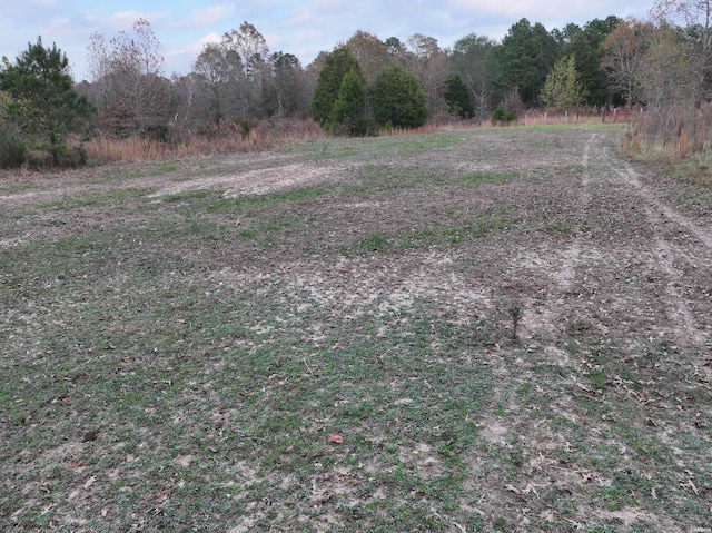 718 Southfork Rd, Gurdon, AR 71743