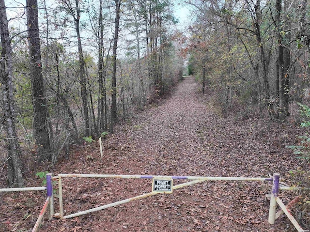 718 Southfork Rd, Gurdon, AR 71743