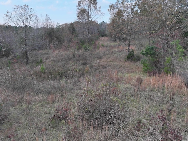 718 Southfork Rd, Gurdon, AR 71743