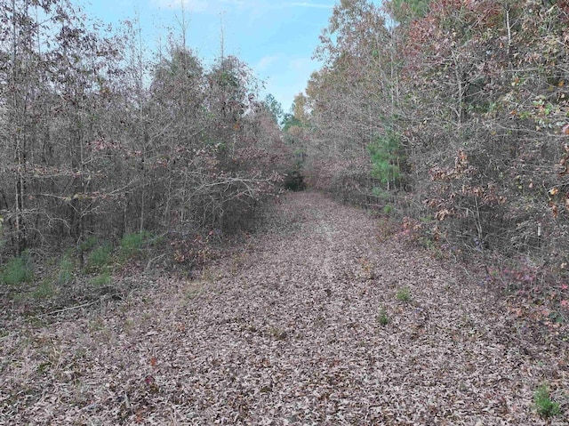 718 Southfork Rd, Gurdon, AR 71743
