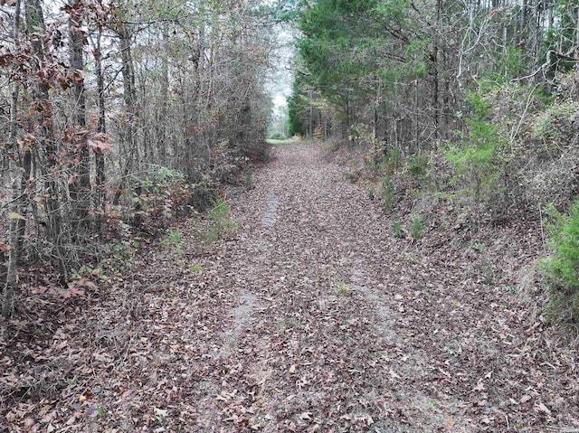 718 Southfork Rd, Gurdon, AR 71743