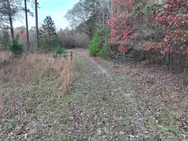 718 Southfork Rd, Gurdon, AR 71743