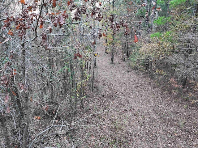 718 Southfork Rd, Gurdon, AR 71743