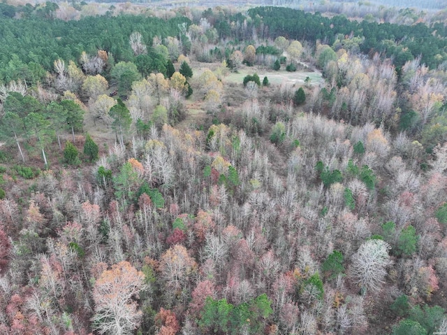 718 Southfork Rd, Gurdon, AR 71743