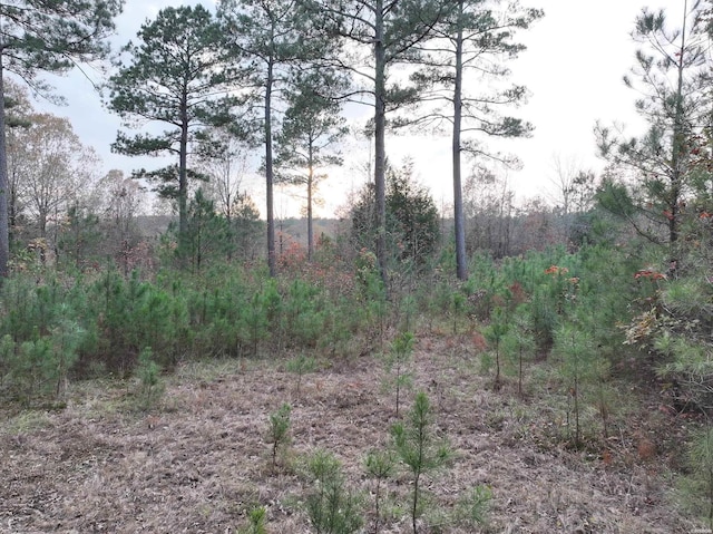 718 Southfork Rd, Gurdon, AR 71743