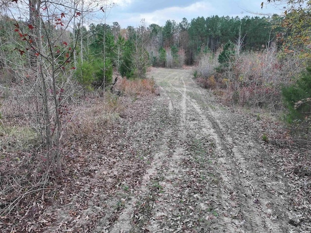 718 Southfork Rd, Gurdon, AR 71743