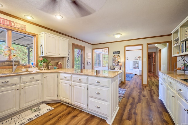 kitchen with dark wood finished floors, white cabinets, a sink, and light stone countertops