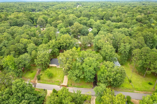 413 Houston Dr, Hot Springs, AR 71913 - photo 32