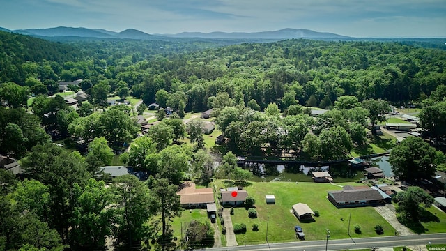 1551 Treasure Isle Rd, Hot Springs, AR 71913 - photo 46