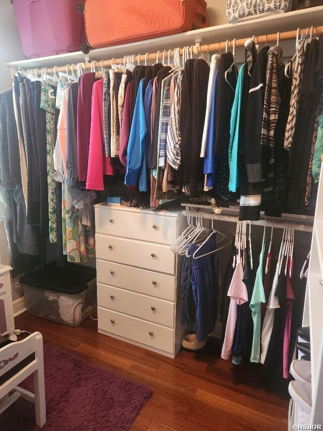 spacious closet with wood finished floors