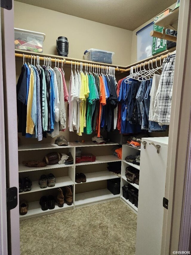 spacious closet with carpet