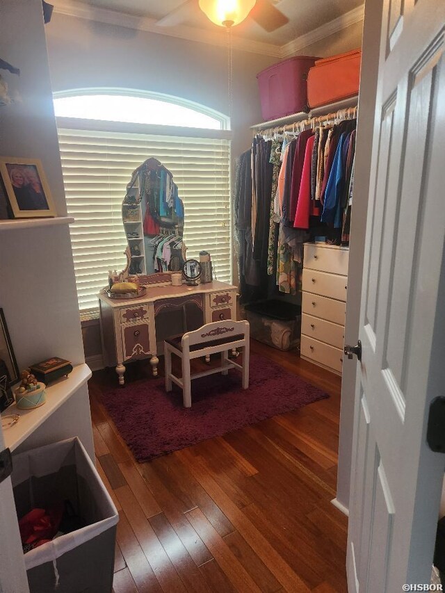 spacious closet with ceiling fan and wood finished floors