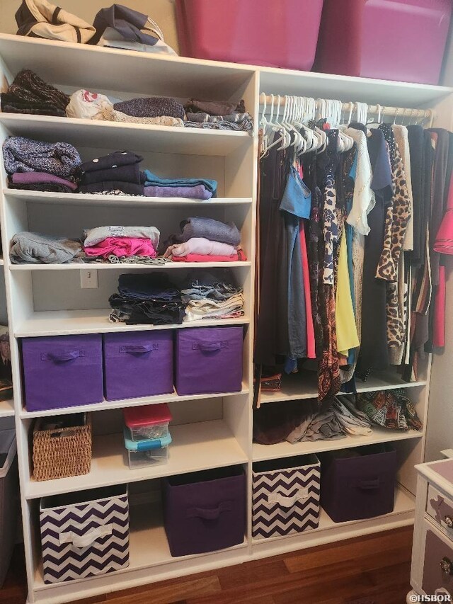 walk in closet featuring wood finished floors