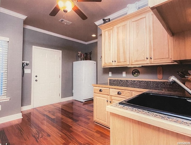 kitchen featuring dark wood-type flooring, a sink, a ceiling fan, visible vents, and crown molding