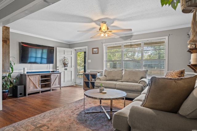 living area featuring wood finished floors, a wealth of natural light, and ornamental molding