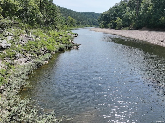 101 Rapids Run, Sims, AR 71953 - photo 4