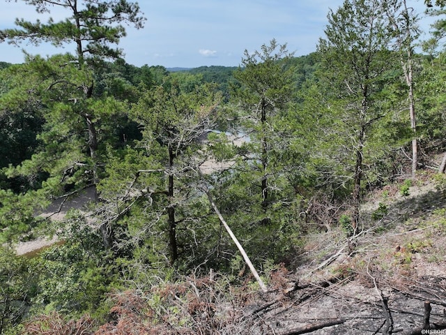 101 Rapids Run, Sims, AR 71953 - photo 18