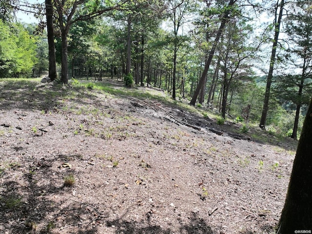 101 Rapids Run, Sims, AR 71953 - photo 16
