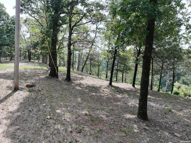 101 Rapids Run, Sims, AR 71953 - photo 20