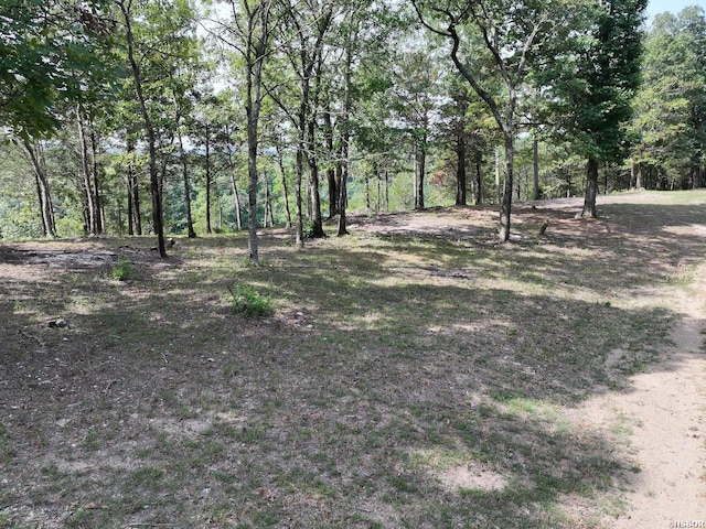101 Rapids Run, Sims, AR 71953 - photo 21