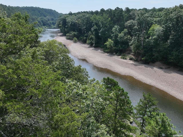 101 Rapids Run, Sims, AR 71953 - photo 6