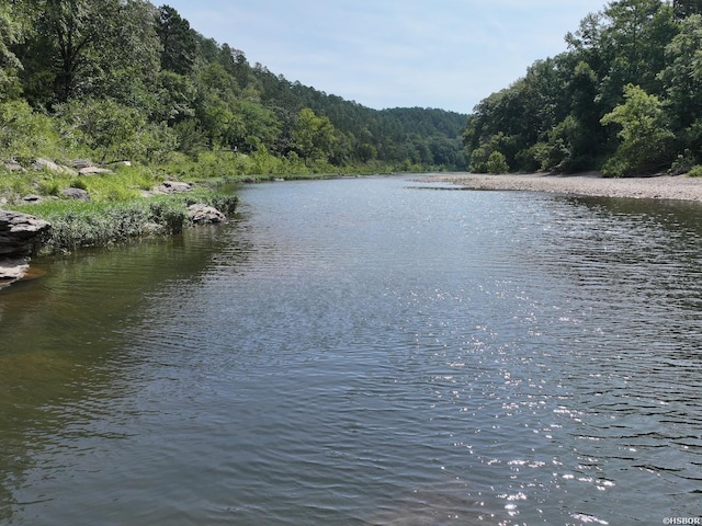 101 Rapids Run, Sims, AR 71953 - photo 12