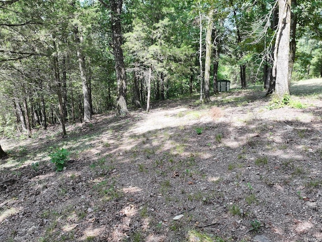 101 Rapids Run, Sims, AR 71953 - photo 17