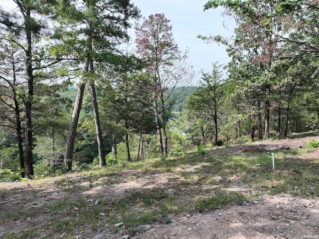 101 Rapids Run, Sims, AR 71953 - photo 19