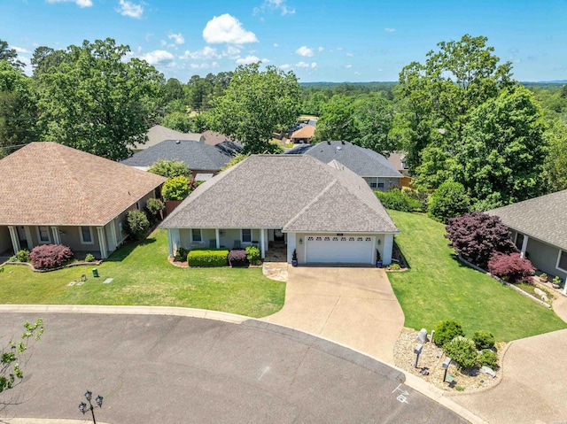 bird's eye view